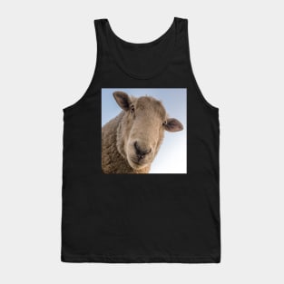 Funny Sheep Lover Design Are You Looking At Me? Funny Sarcasm Farmhouse Decor & Gifts Tank Top